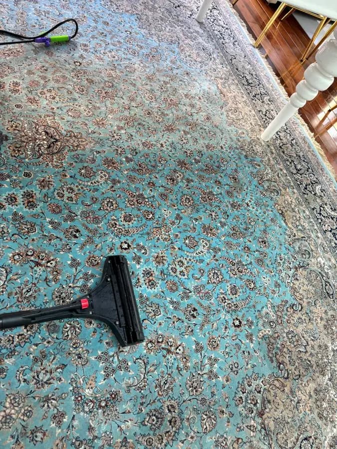 Persian-style rug during deep extraction cleaning by ARA Clean Malta
